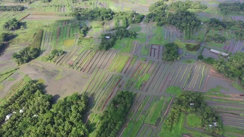 Floating agricultural systems Stock Footage 251915083