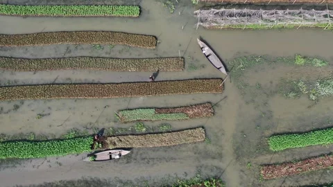 Floating agricultural systems Stock Footage 251915369