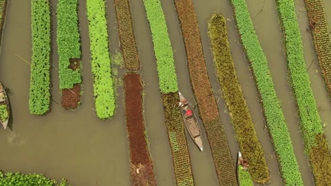 Floating Agriculture Stock Footage 261794363