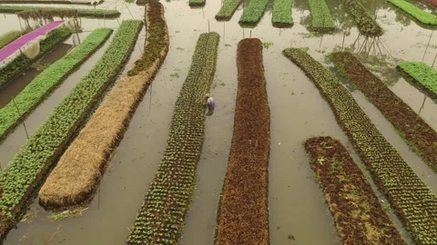 Floating Agriculture Stock Footage 261796103