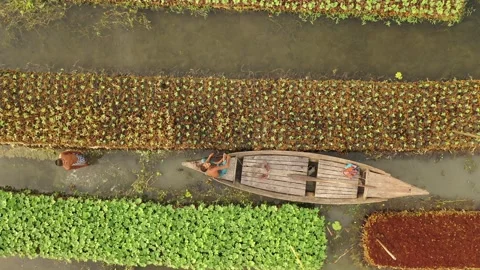 Floating Agriculture Stock Footage 261797336