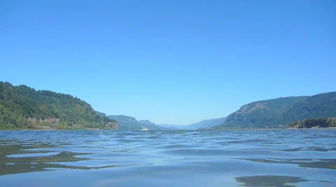 Floating and Sinking in Summer River Stock Footage 5465559