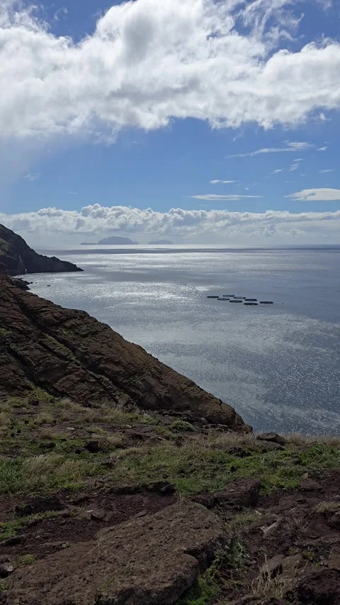 Floating aquaculture pens off eastern Madeira near São Lourenço.  Stock Footage 310025383