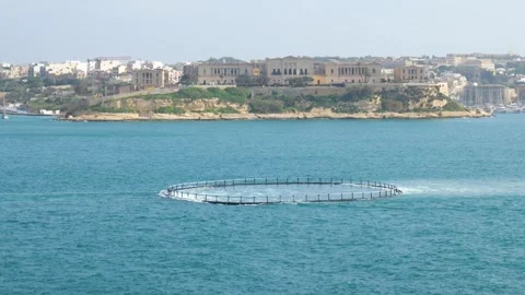 Floating aquaculture ring cuts through the harbour water close detail tugboat Stock Footage 341806590