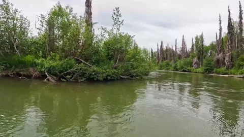 Floating around the river bend Stock Footage 203660012