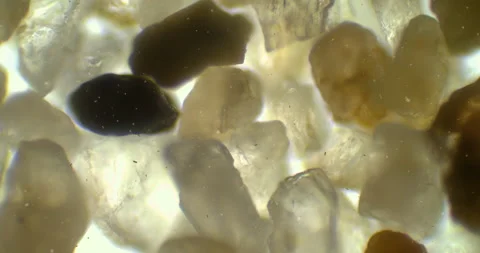 Floating bacteria between crystal rocks under a microscope. Germs in sand Stock Footage 199342011