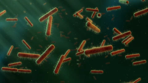 Floating bacteria Stock Footage 98555494
