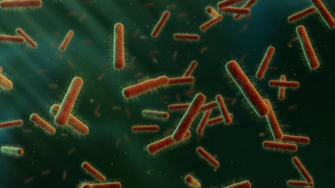 Floating Bacteria in green 3d animated space Video stock 234341313