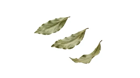 Floating bay leaves isolated on white Stock Footage 339340869