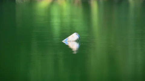 A floating beer can in a pond, fish moves water at the end Video stock 315169225