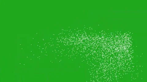 Floating birds motion graphics with green screen background Stock Footage 257786733