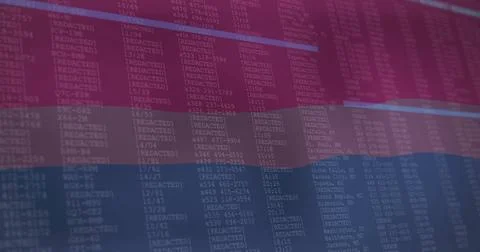 Floating bisexual flag over redacted spreadsheet, with codes, times  and  pink Foto stock