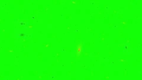 Floating black particles overlay on vibrant green screen background for Vídeo Stock 338175459