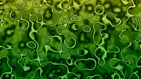 Floating Blobs Background Fading Circular Elements in Flow Stock Footage 306982620