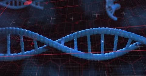 Floating blue DNA double helix on wireframe grid, red ECG waveform, plus signs Stock Photos