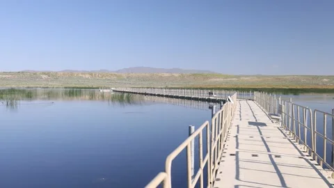 Floating Board Walk at Nature Study Area in Reno Nevada Stock Footage 245796906
