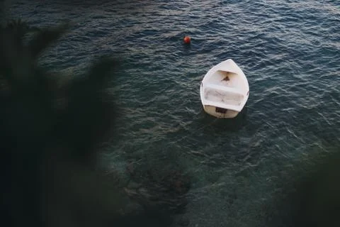 Floating boat with branches in the foreground Stock Photos