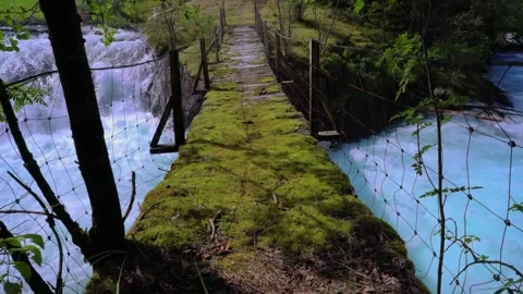 Floating bridge on ropes over a lake or a stream in a forest, summer, aeria.. Stock-Footage 246469925