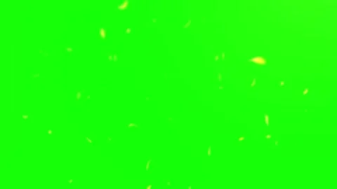 Floating bright yellow petals drifting downwards against a vibrant green screen Stock Footage 338996490