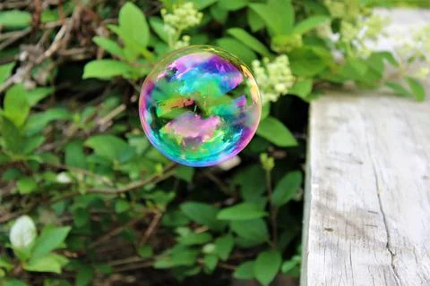 Floating Bubble In The Air Stock Photos