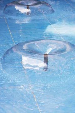 Floating Bubble Structures on a Tranquil Blue Water Surface Stock Photos