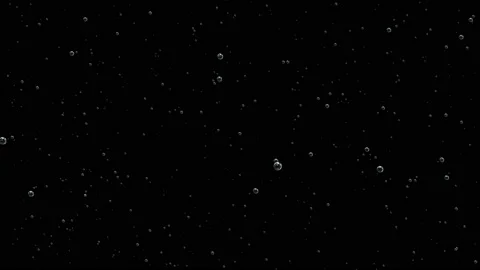 Floating Bubbles on Black Background. Stock Footage 103963814