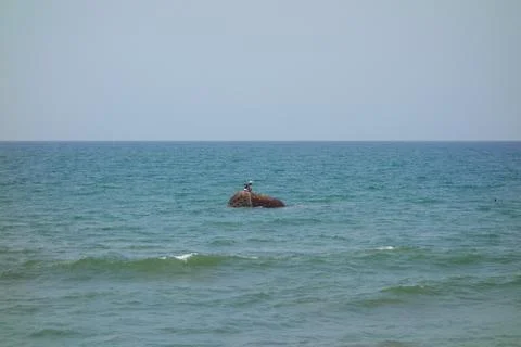 Floating buoy Stock Photos