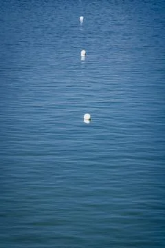 Floating buoys create a serene pattern on calm blue water during midday Stock Photos