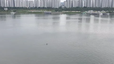 Floating Café at Ttukseom Park, Han River Stock Footage 318833410