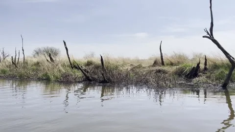 Floating on calm waters of spring and autumn river with reflection on water Stock Footage 293834615