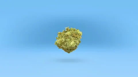 Floating Cannabis Stock Footage