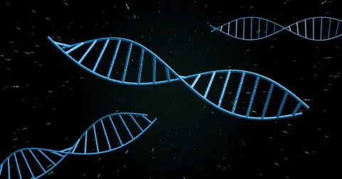 Floating central blue DNA double helix model in dark digital void, with greenish 写真素材