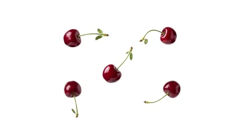 Floating cherries isolated on white Stock Footage 339340536
