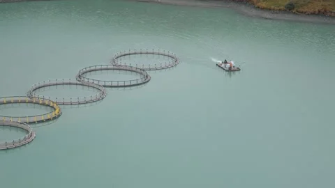Floating Circular Fish Farm Cages on Lake Vídeos de archivo 327495128
