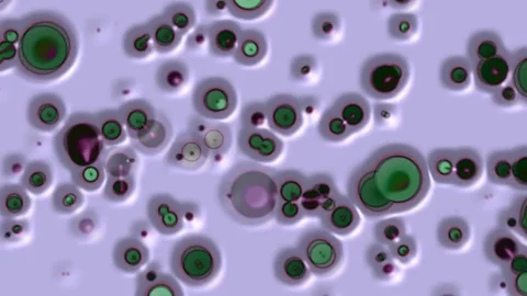 Floating Circular Shapes 12 Stock Footage 82669752