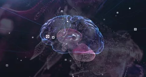 Floating clear brain model showing magenta cerebellum and white data icons in Stock Illustration