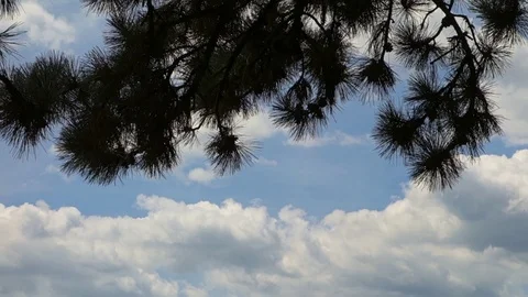 Floating clouds on a beautiful blue sky Stock Footage 111586636