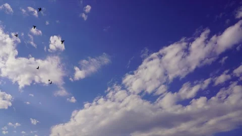 Floating clouds. blue sky, rays of the sun. time laps Video stock 152198280