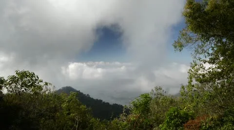 Floating clouds in the mountains of Park Montecristo El Salvador Stock Footage 20613482