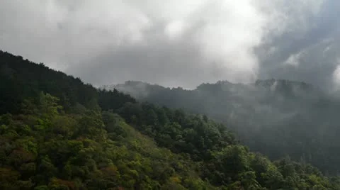 Floating clouds in the mountains of Park Montecristo in El Salvador Time Lapse Stock Footage 20613484