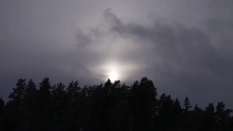 Floating clouds over the forest Stock Footage 73040226