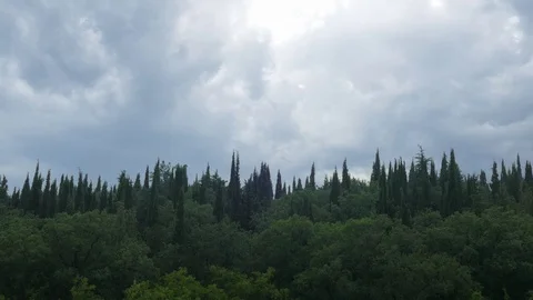 Floating clouds over forest park, time lapse Stock Footage 78029911