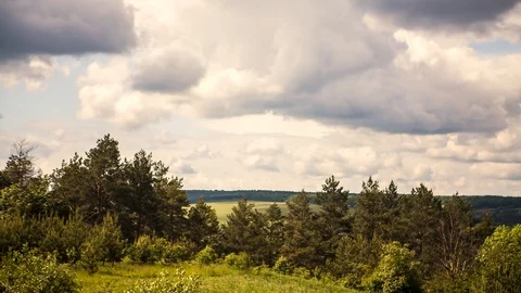 Floating clouds over the wood Stock Footage 89908676