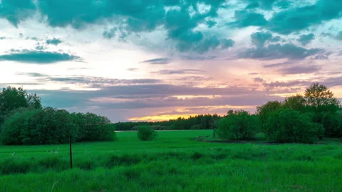 Floating clouds, sunset on a background of trees 库存影片 131091574