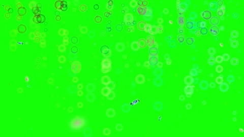 Floating colorful bubbles on green screen. Abstract circle particles overlay Stock Footage 340716986