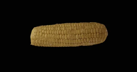 Floating Corn rotating Black / Green Screen Stock Footage 233653628