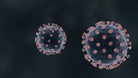 Floating coronaviruses - 3d animation of two coronaviruses Stock Footage 126932809
