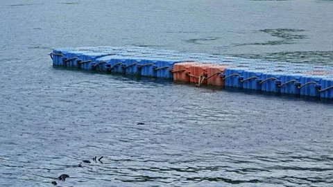 Floating cubes plastic pontoon on sea water surface. Stock Footage 304472477