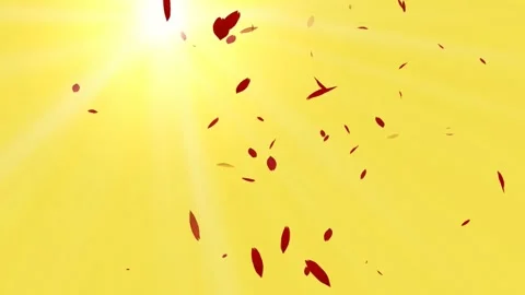 Floating Dark Brown Particles on Warm Yellow Background Animation Clip 4K 库存影片 333349112