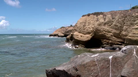 Floating dead fin whale stuck in a cove Video stock 40822151